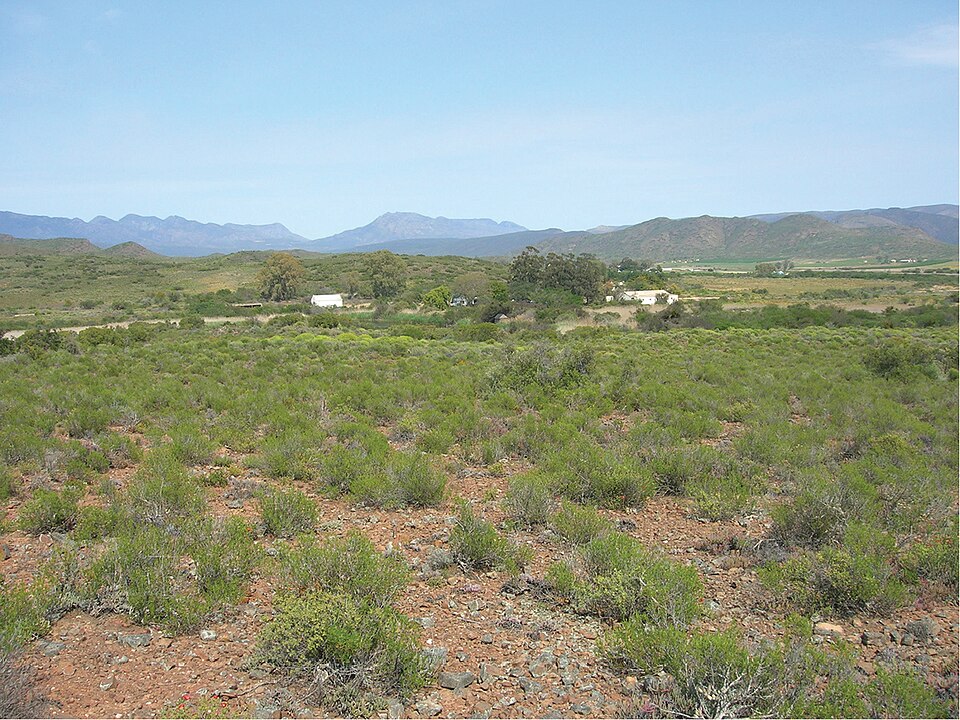 Vrolijkheid Nature Reserve, Western Cape