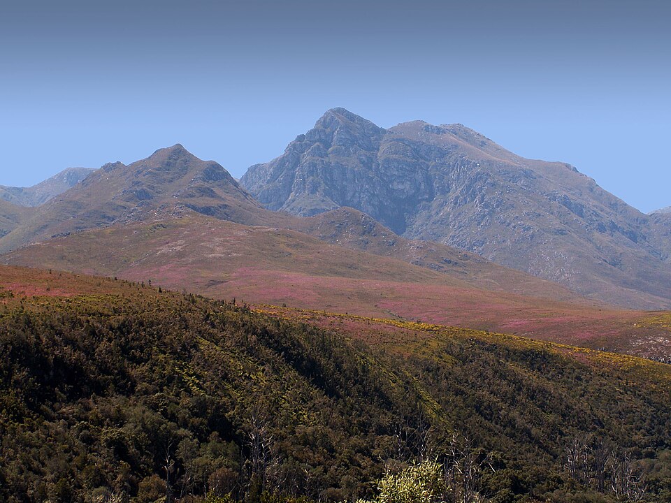 Boosmansbos Wilderness Area, Western Cape