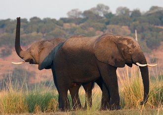 Musina Nature Reserve, Limpopo