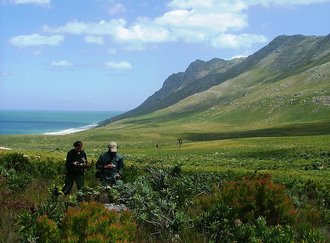 Kogelberg Nature Reserve, Western Cape