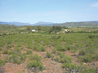 Vrolijkheid Nature Reserve, Western Cape