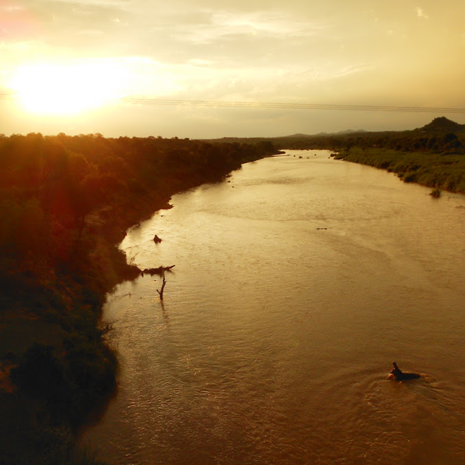 Balule Nature Reserve, Limpopo