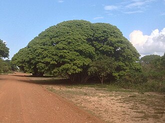 Bonamanzi Game Reserve, KwaZulu-Natal