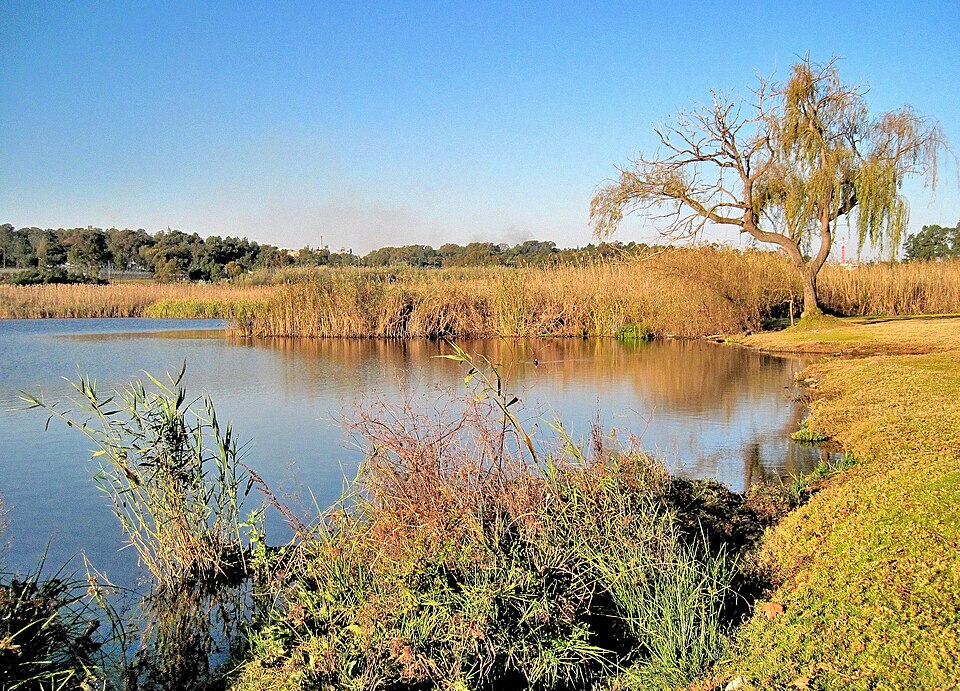 Modderfontein Reserve, Gauteng